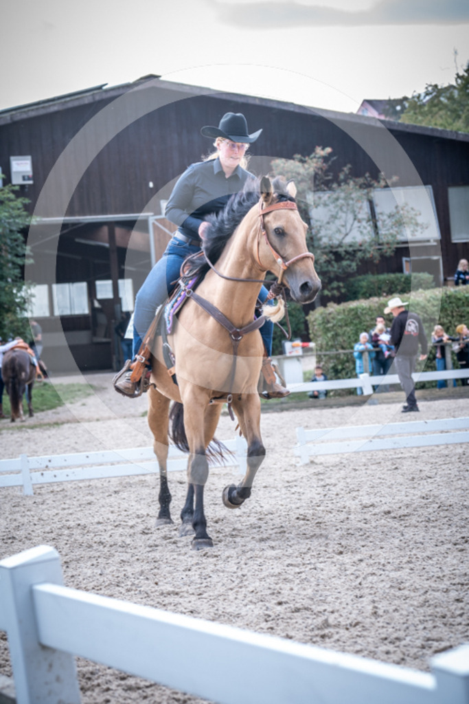 HEB07696 | BS-foto