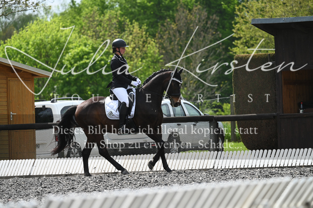 20230512_JK-Röhrsdorf-08-182 | Pferde- und Turnierfotografie in Westsachsen. Pferdeportraits, Auftragszeichnungen und intuitive Kunst.