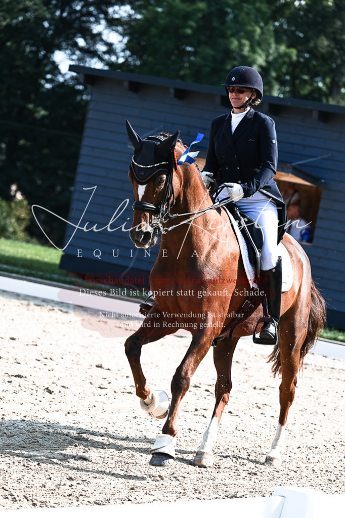 DSC_3438 | Pferde- und Turnierfotografie in Westsachsen. Pferdeportraits, Auftragszeichnungen und intuitive Kunst.