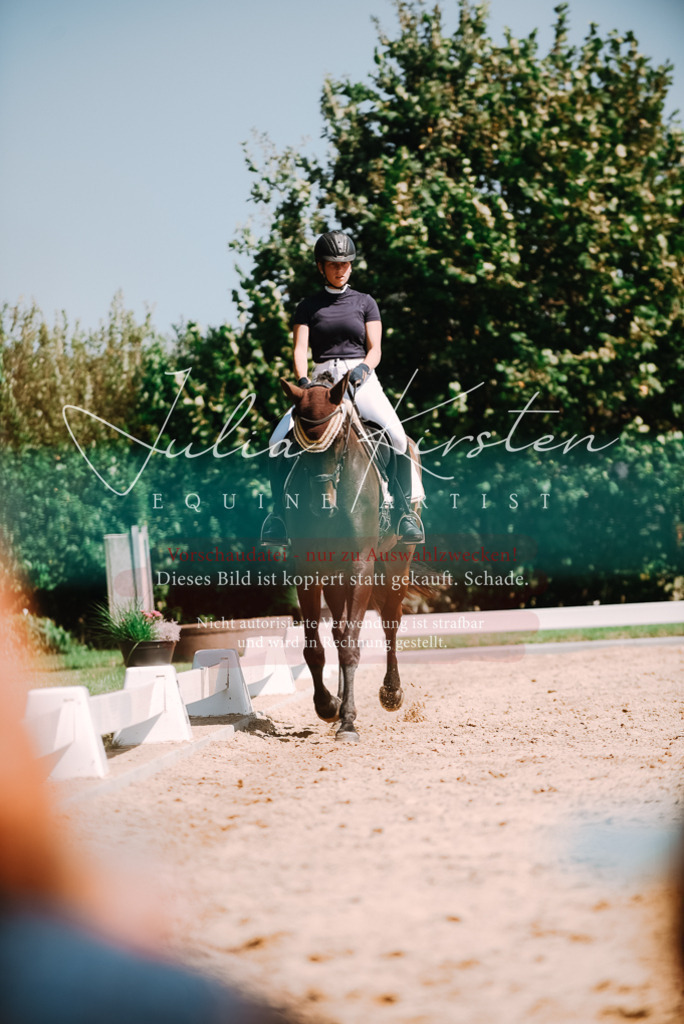 DSC_2968 | Pferde- und Turnierfotografie in Westsachsen. Pferdeportraits, Auftragszeichnungen und intuitive Kunst.