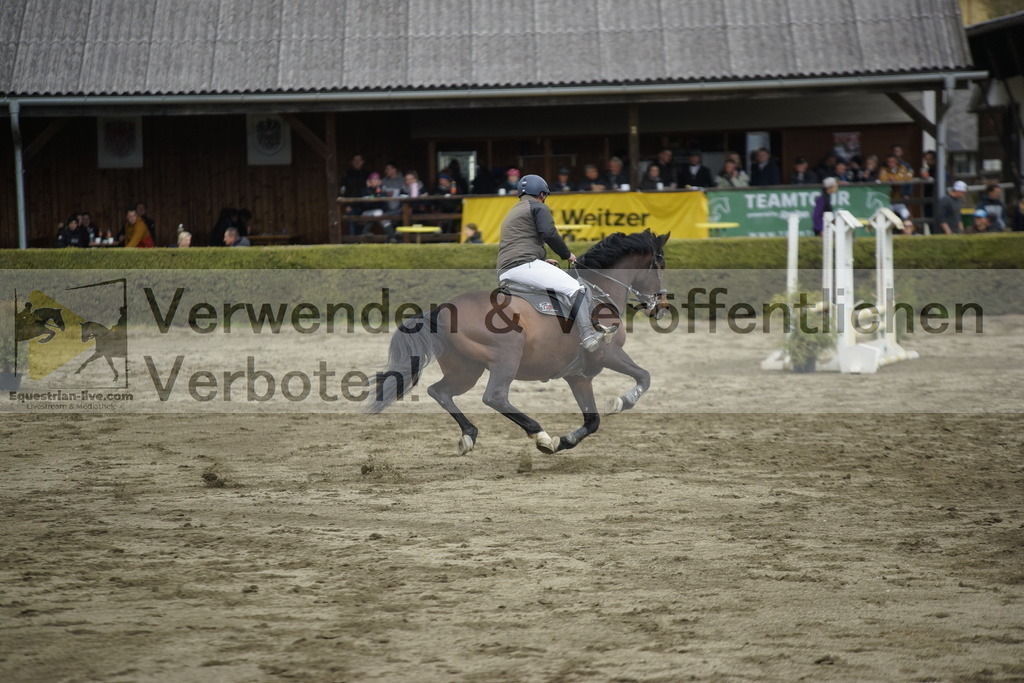 _DSC7455 | equestrian-live-com