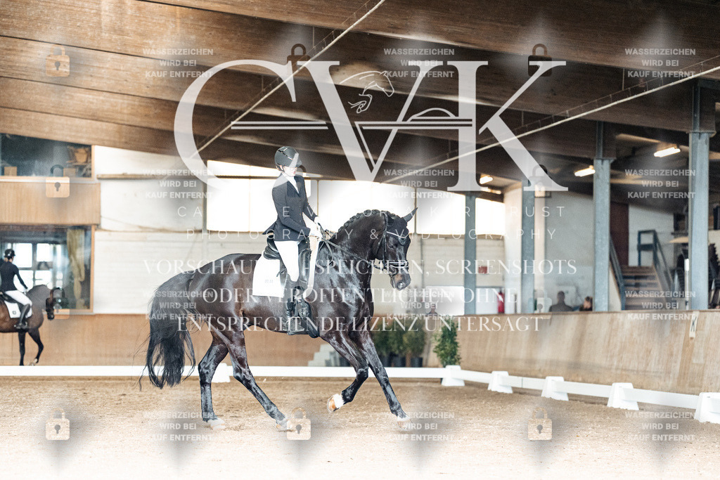 CK902509 | Turnierfotografie Pferdefotografie Trier Rheinland-Pfalz Pferdesport Reitsport Tierfotografie Sportfotografie Pferdevideo Pferdevideografie Equestrianvideography equestrianphotography  - Realisiert mit Pictrs.com