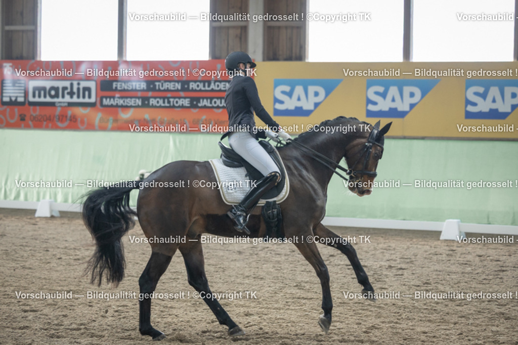 _D5A4279 | Emotionale Pferde- & People-Fotografie rund um Heidelberg, Leimen & Umgebung. Natürliche Fotos von Pferd, Mensch & Familie. Jetzt Termin sichern!