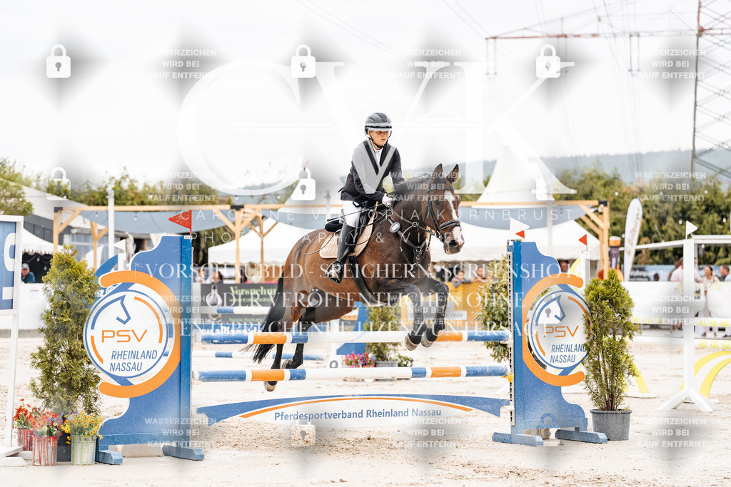 CK906438 | Turnierfotografie Pferdefotografie Trier Rheinland-Pfalz Pferdesport Reitsport Tierfotografie Sportfotografie Pferdevideo Pferdevideografie Equestrianvideography equestrianphotography  - Realisiert mit Pictrs.com