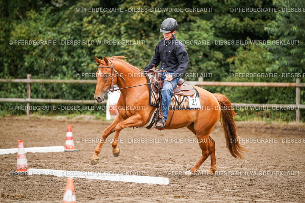 DSC03508 | Pferdegrafie