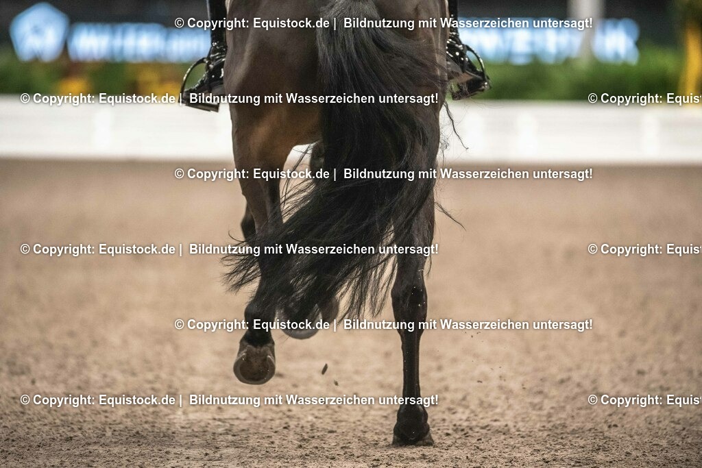 20231115_20_Dressur_Kl-S++_0021_TOMsPiC | Foto: Thomas Hartig