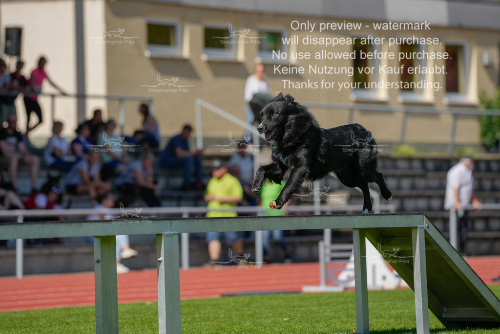 Sonntag_VK Hindernis (77 von 671) | stephaniefillaphotographie - Realisiert mit Pictrs.com