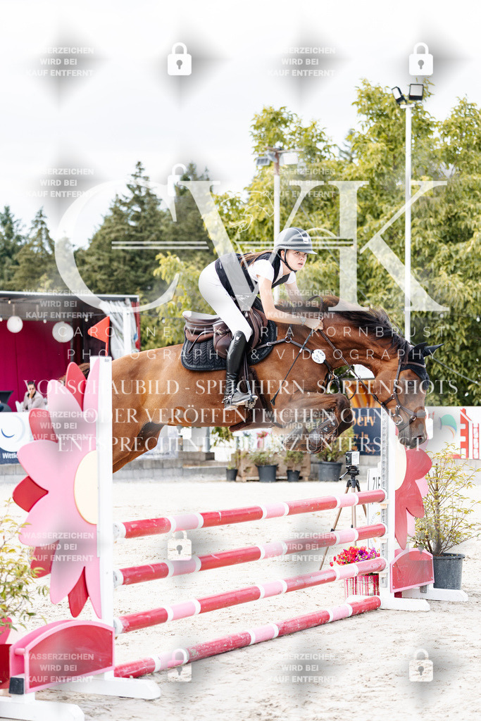 CK902301 | Turnierfotografie Pferdefotografie Trier Rheinland-Pfalz Pferdesport Reitsport Tierfotografie Sportfotografie Pferdevideo Pferdevideografie Equestrianvideography equestrianphotography  - Realisiert mit Pictrs.com