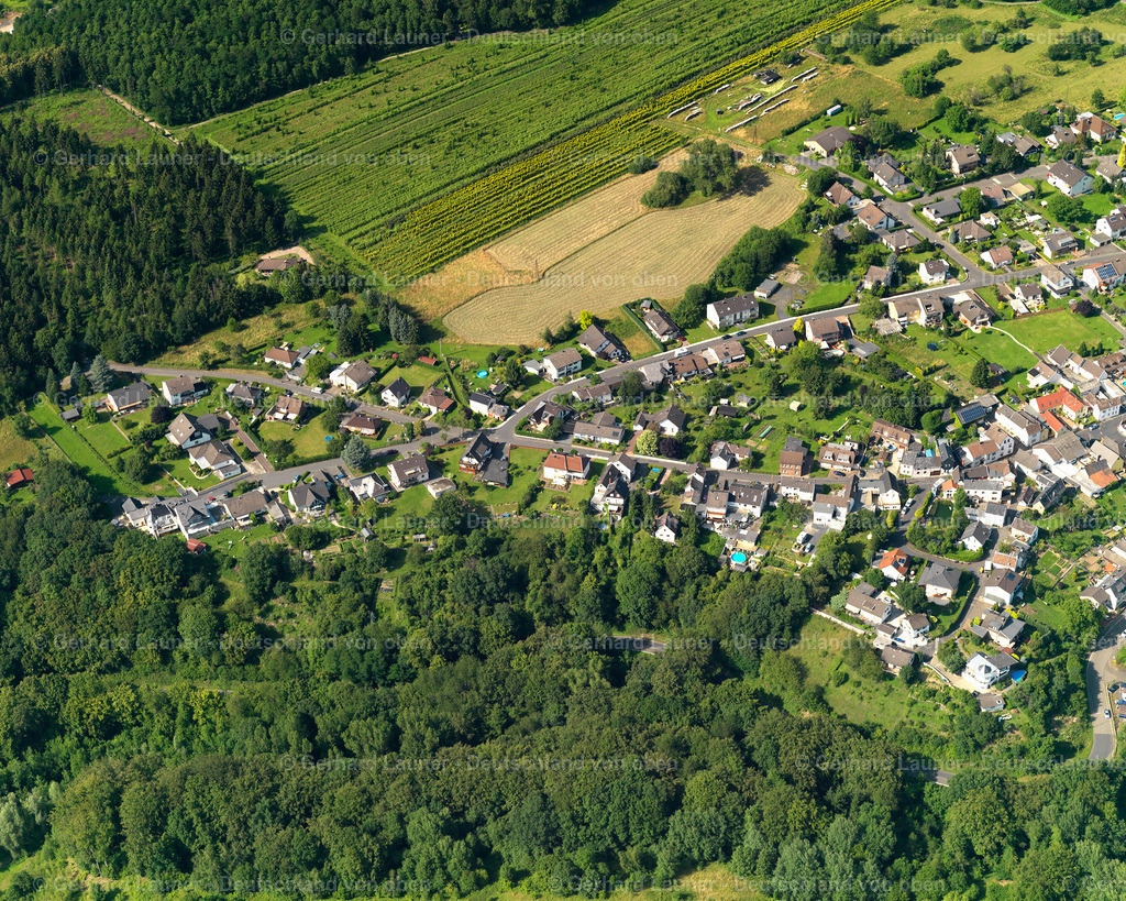 3120818 | Bruchhausen