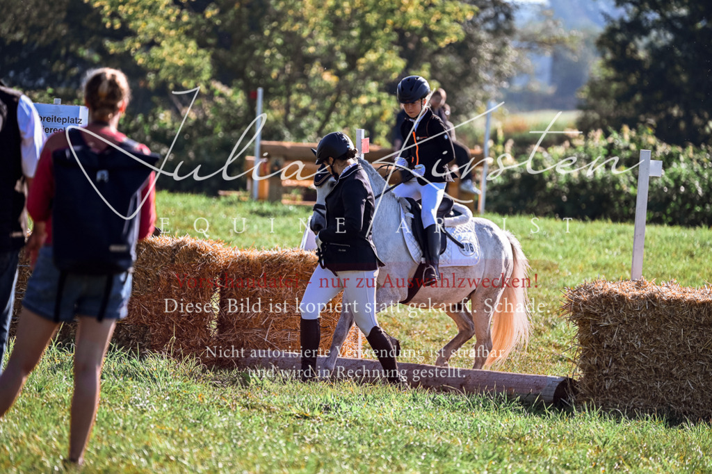 DSC_0436 | Pferde- und Turnierfotografie in Westsachsen. Pferdeportraits, Auftragszeichnungen und intuitive Kunst.