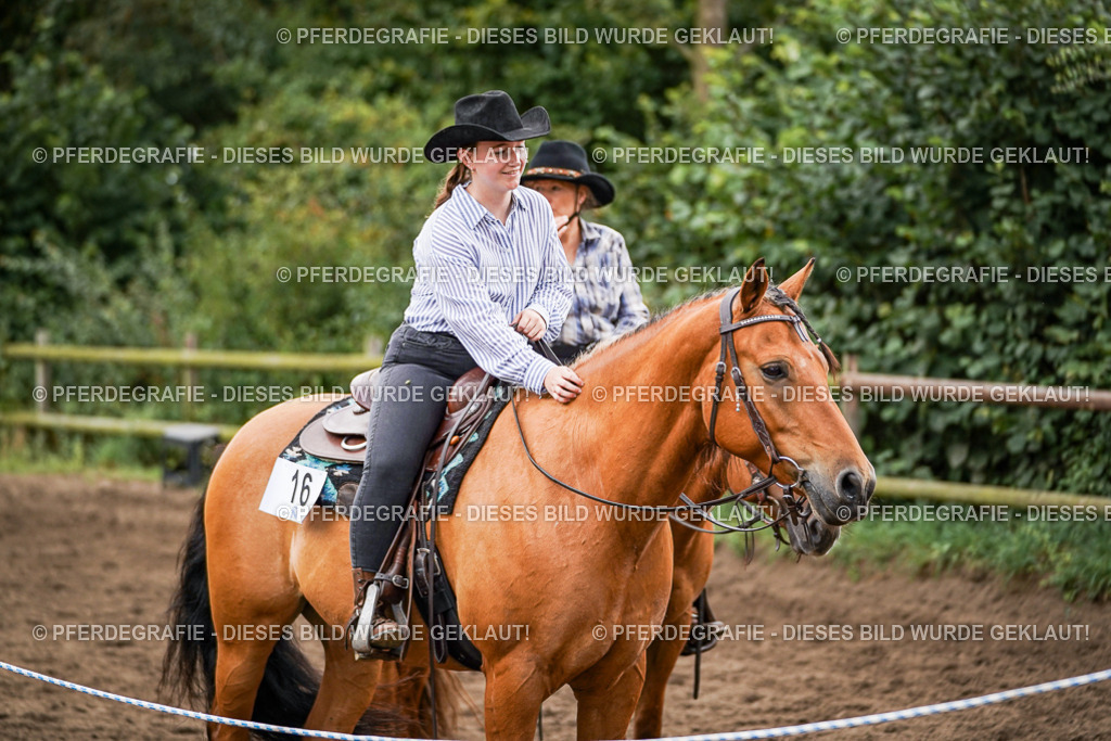 DSC08720 | Pferdegrafie