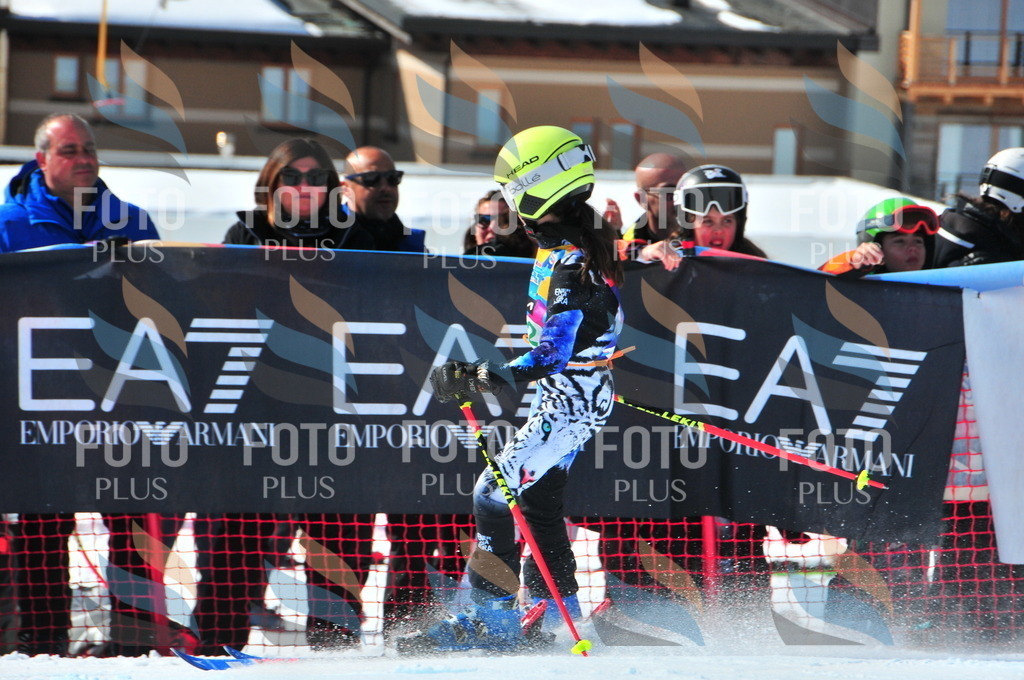 DSC_0875 | holidayphoto