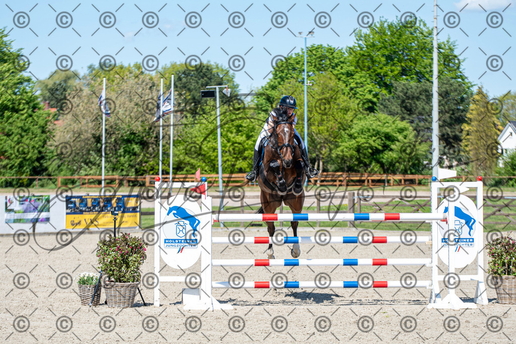 KPT_1119 | andre_photographic