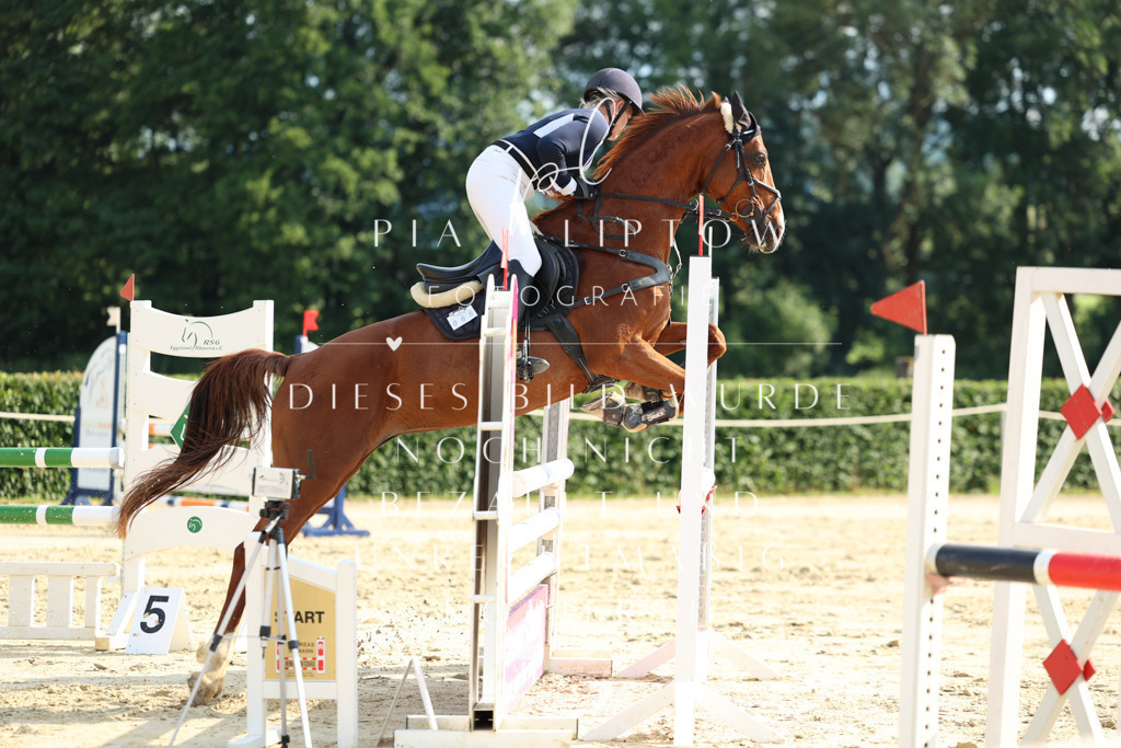 IMGM7427 | pl-fotografie