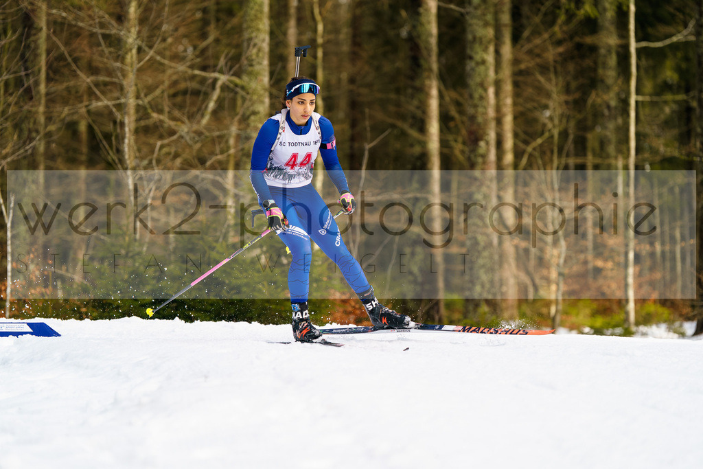 FESA Alpencup / DP Notschrei | Deutschland Pokal Finale im Schwarzwald NORDIC-CENTER Notschrei am 7. - 8. Februar 2026