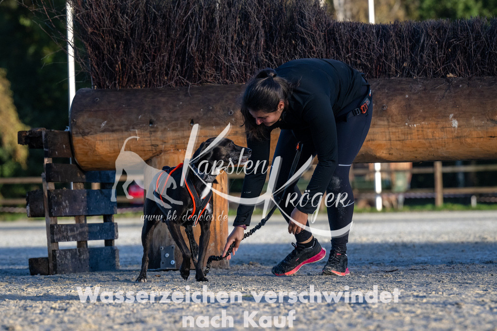 0857-00193 | kk-dogfotos