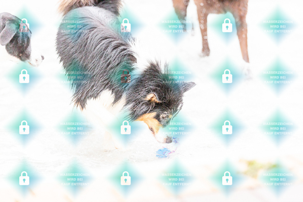 _HP_7403_1000o | HetPix, HetPix Fotodesign, Fotografie, Fotodesign, Webshop, Sportfotografie, Portraitfotografie, Onlineshop, Sportfotografie, Polch, Motorsportfotografie, Eventfotografie