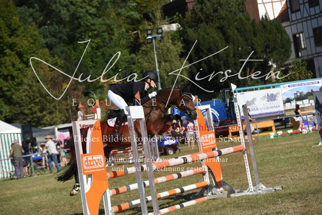 DSC_5416 | Pferde- und Turnierfotografie in Westsachsen. Pferdeportraits, Auftragszeichnungen und intuitive Kunst.