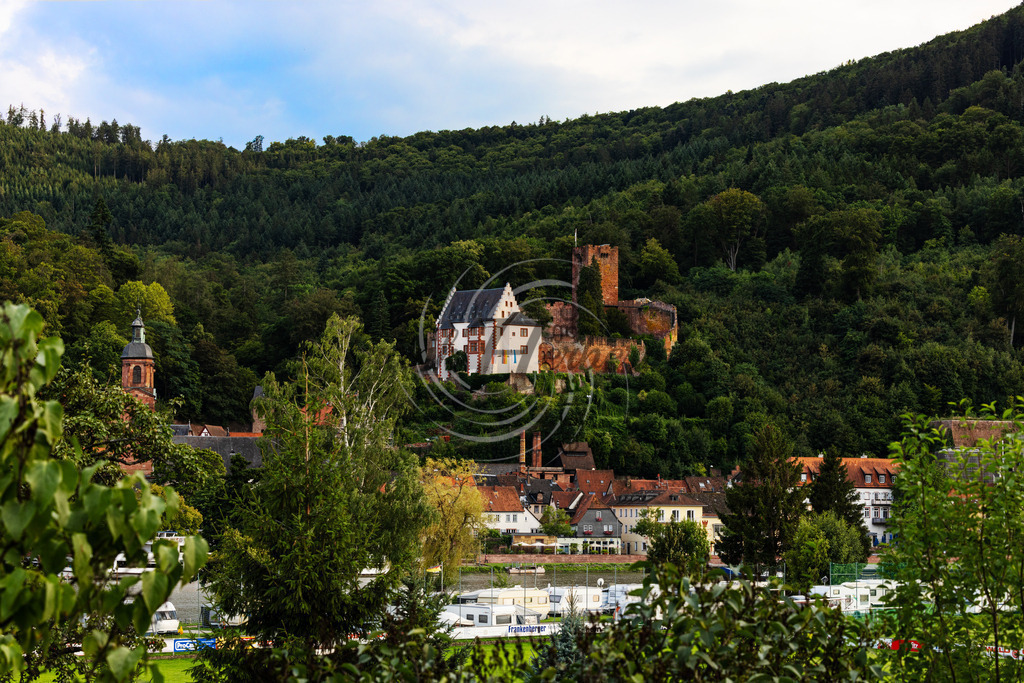 Miltenberg am Main  | Miltenberg am Main ,Miltenberg, Kreisstadt, Unterfranken,Mainknie, Odenwald,Spessart, Limes, Mildenburg, Main - Realisiert mit Pictrs.com