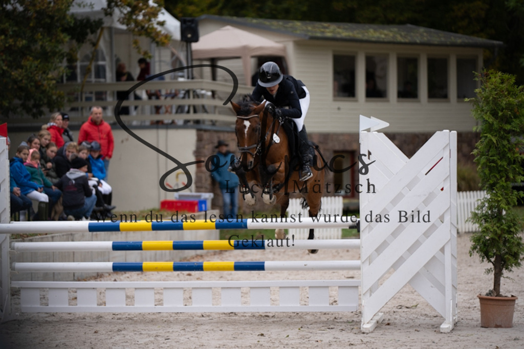 A7V09265 | Pferdefotograf