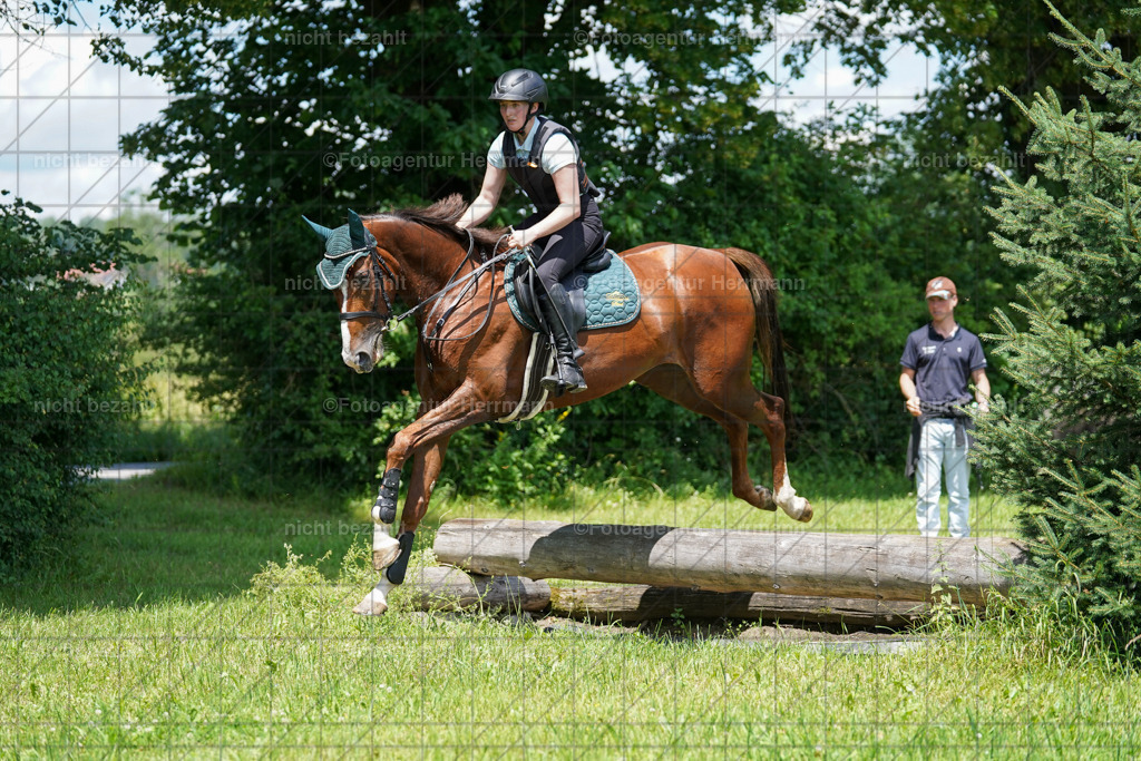 20240622-FAH07077 | Turnierfotografen Bayern, Reitsportbilder aus dem Geländekurs mit Felix Etzel auf dem Gut Waitzacker 2024