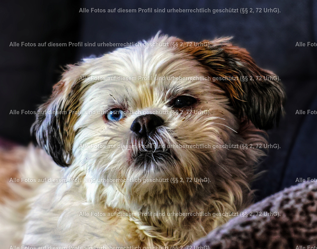 20240326143914_0C4A4216-01_2 | krollfotografie - Realisiert mit Pictrs.com