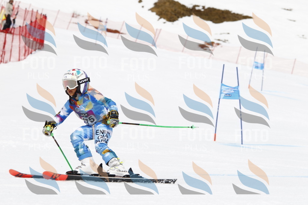 _U3G6903 | holidayphoto