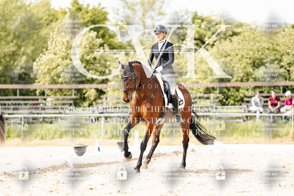 CK901538 | Turnierfotografie Pferdefotografie Trier Rheinland-Pfalz Pferdesport Reitsport Tierfotografie Sportfotografie Pferdevideo Pferdevideografie Equestrianvideography equestrianphotography  - Realisiert mit Pictrs.com