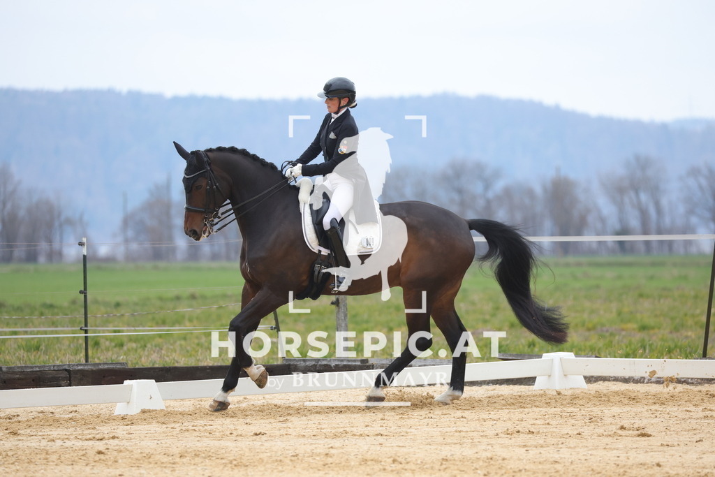 0P6A5691 | Willkommen bei Brunnmayr - Design & Fotografie – Ihrem Spezialisten für Reitturniere und Pferdeveranstaltungen in Oberösterreich, Salzburg und Bayern! Seit über 17 Jahren sind wir leidenschaftlich dabei.