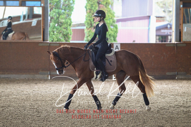 DKP42590 | Turniersportfotografie; Pferdefotografie; Dressurfotografie