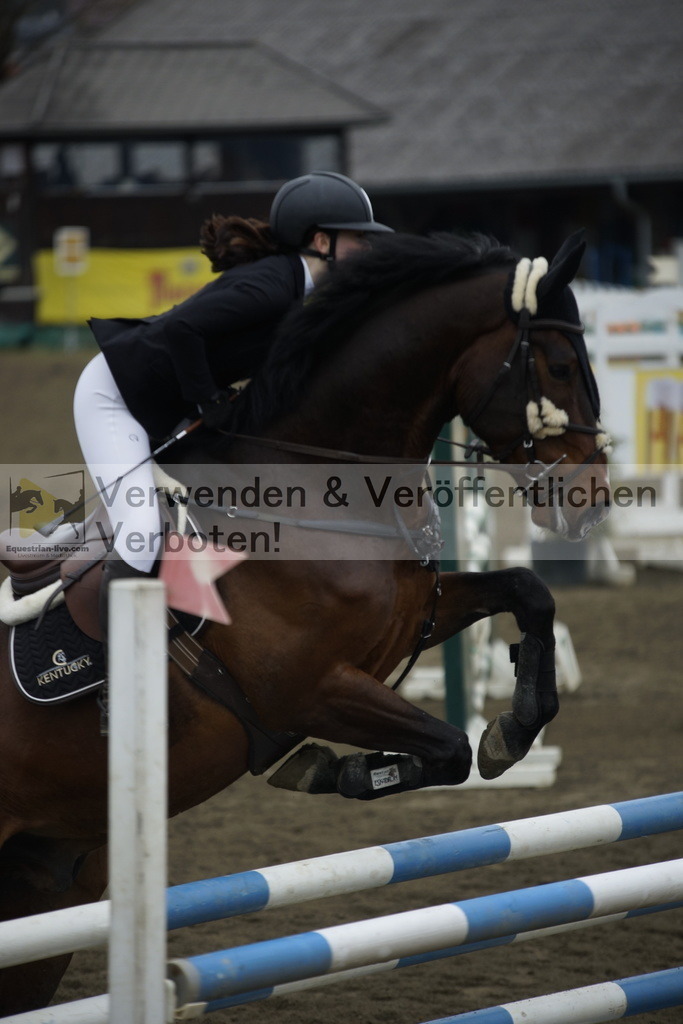 _DSC7013 | equestrian-live-com