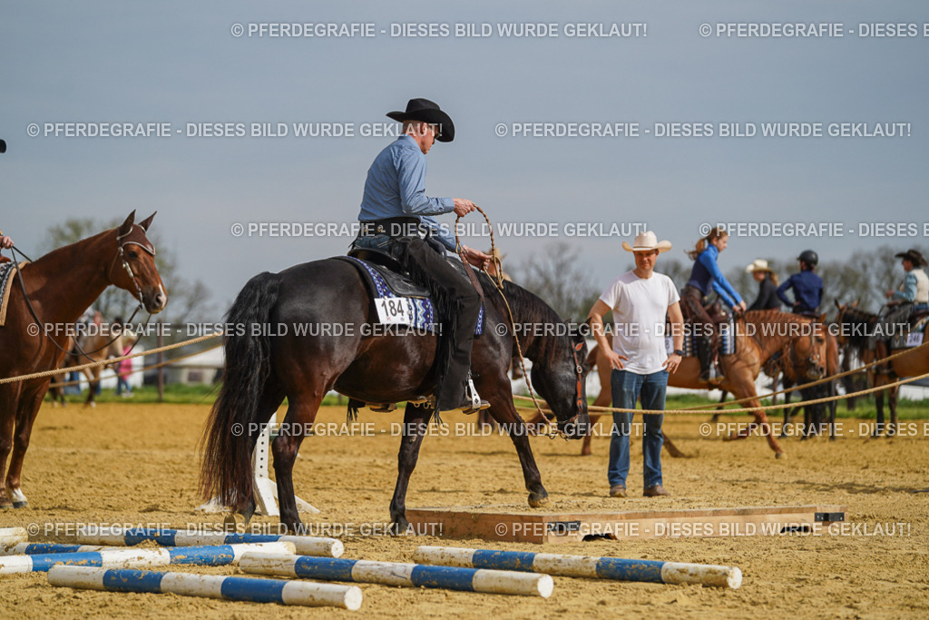 DSC02016 | Pferdegrafie