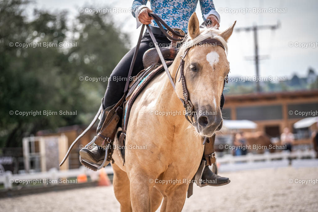KBB09990 | BS-foto
