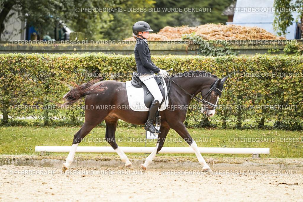 DSC00195 | Pferdegrafie