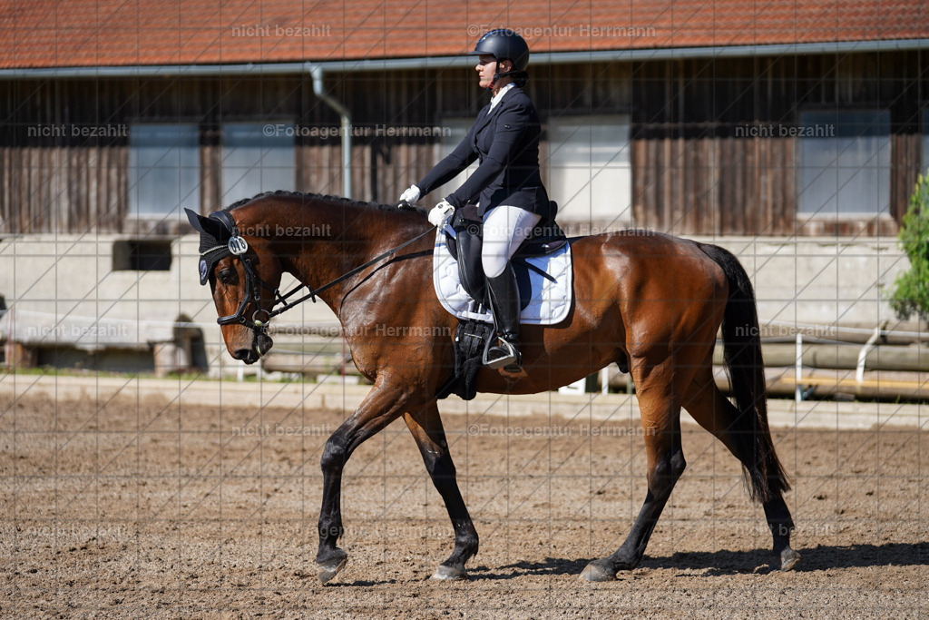 20240519-FAH04593 | Turnierbilder Niederseeon 2024, Vielseitigkeitsdressur, Reitsportbilder aus dem Landkreit Ebersberg, Gut Steinsee, RC Steinsee, Fotoagentur Herrmann