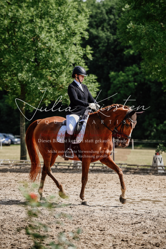 DSC_0343 | Pferde- und Turnierfotografie in Westsachsen. Pferdeportraits, Auftragszeichnungen und intuitive Kunst.