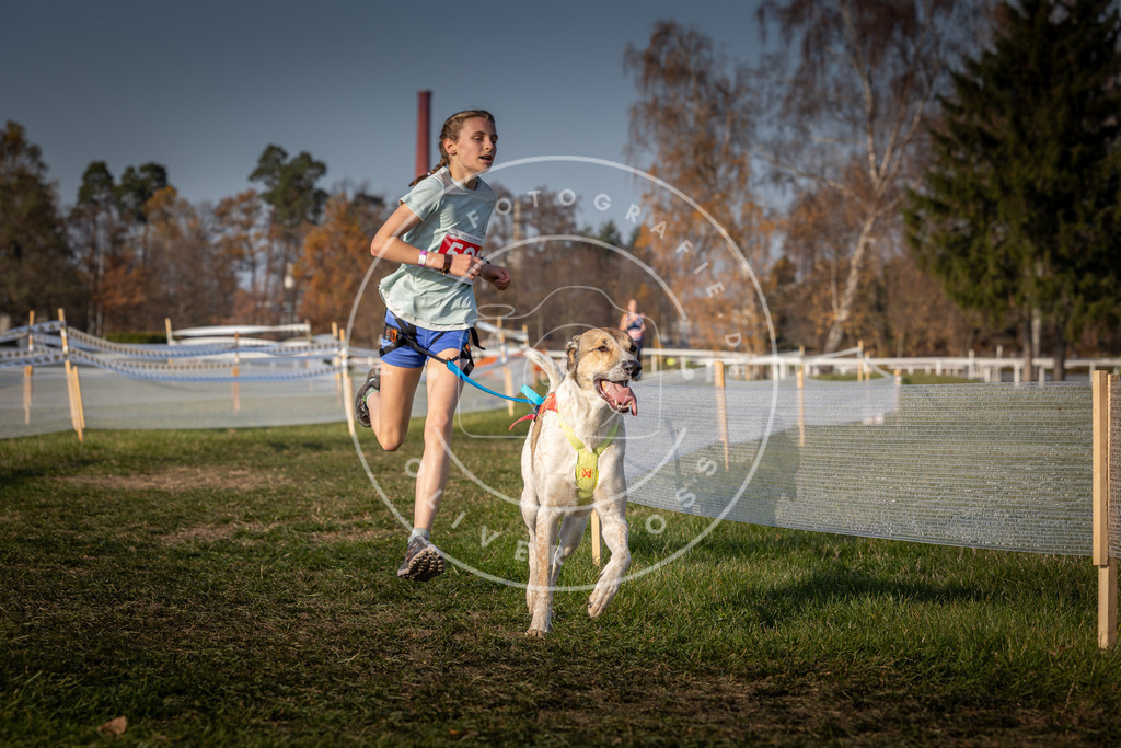 CaniXpix_0L8A0041 | Hundefotografie, Tierfotograf, Pfotenfotografie, Fotoshooting Hund, Hunde Portrait, Hundesport, Hundeportraits, Heideshooting, Hunde, Sportfotograf, Hundefotograf, Turnierhundsport, THS,  - Realisiert mit Pictrs.com