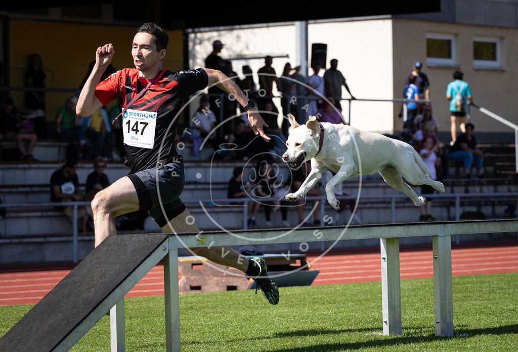 Pfotenfotografie_DV3A9280 | Hundefotografie, Tierfotograf, Pfotenfotografie, Fotoshooting Hund, Hunde Portrait, Hundesport, Hundeportraits, Heideshooting, Hunde, Sportfotograf, Hundefotograf, Turnierhundsport, THS,  - Realisiert mit Pictrs.com