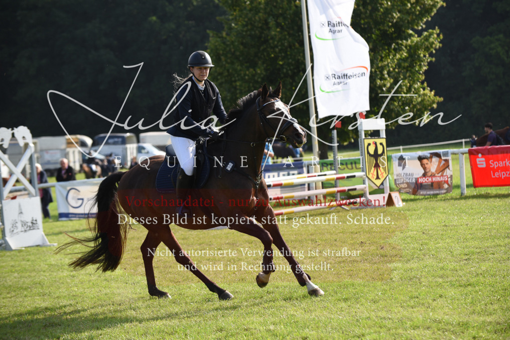 DSC_8627 | Pferde- und Turnierfotografie in Westsachsen. Pferdeportraits, Auftragszeichnungen und intuitive Kunst.