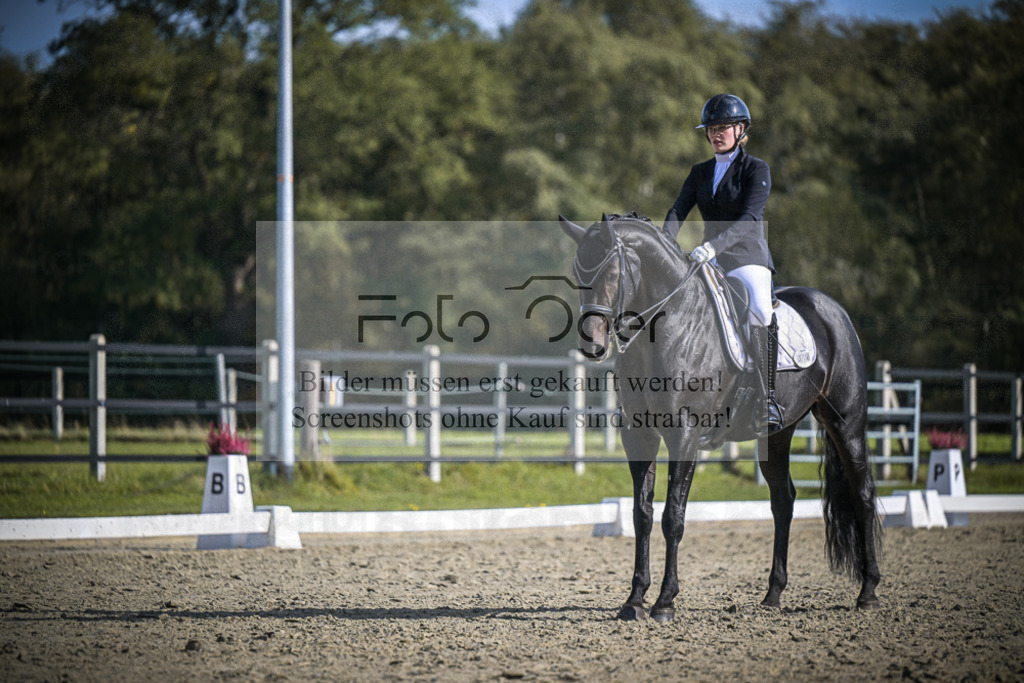 DOS_1524 | Entdecke hochwertige Reitturnierfotos von Foto Oger. Professionell, emotional und authentisch – jetzt Lieblingsmomente im Shop bestellen.Deutschlandweite Turnierfotografie. - Realisiert mit Pictrs.com