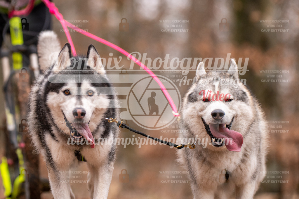 AKM_ST_2023_SAM_DS2-86 | mompixphotography