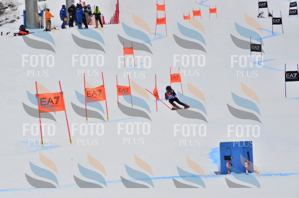 _ELE3754 | holidayphoto