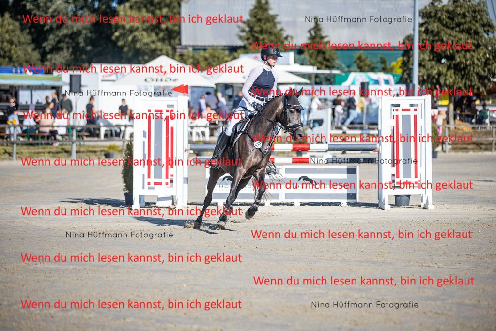 BK1A5948 | Turnierbilder Turnierfotos Nina Hüffmann Turnierfotografie Pferdefotografie Tierzeichnung Haustierzeichnung Pferdezeichnung Hundezeichnung Videograf  - Realisiert mit Pictrs.com