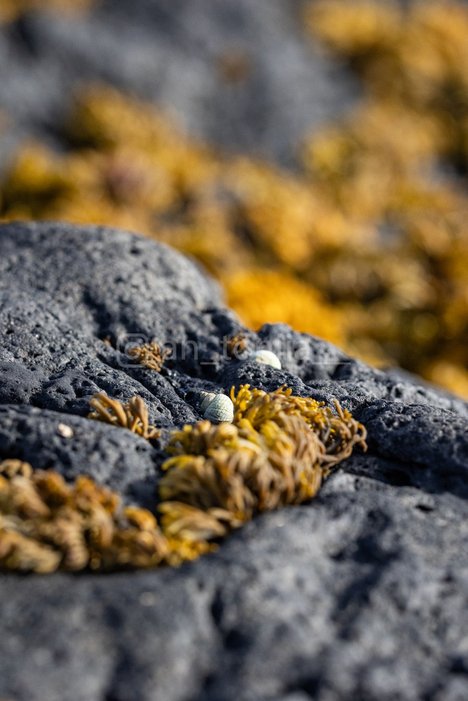 JB3A3104 | antonija-trupina - Realisiert mit Pictrs.com