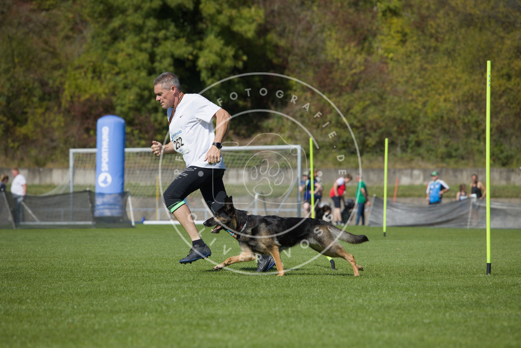 0L8A6325 | Hundefotografie, Tierfotograf, Pfotenfotografie, Fotoshooting Hund, Hunde Portrait, Hundesport, Hundeportraits, Heideshooting, Hunde, Sportfotograf, Hundefotograf, Turnierhundsport, THS,  - Realisiert mit Pictrs.com