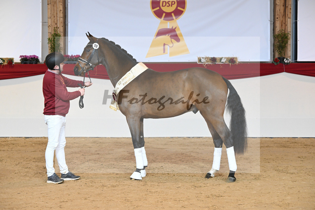 Kat-Nr. 59 Fuerst Samarant_Reesink Horses_1231960 | hf-fotografie - Realisiert mit Pictrs.com
