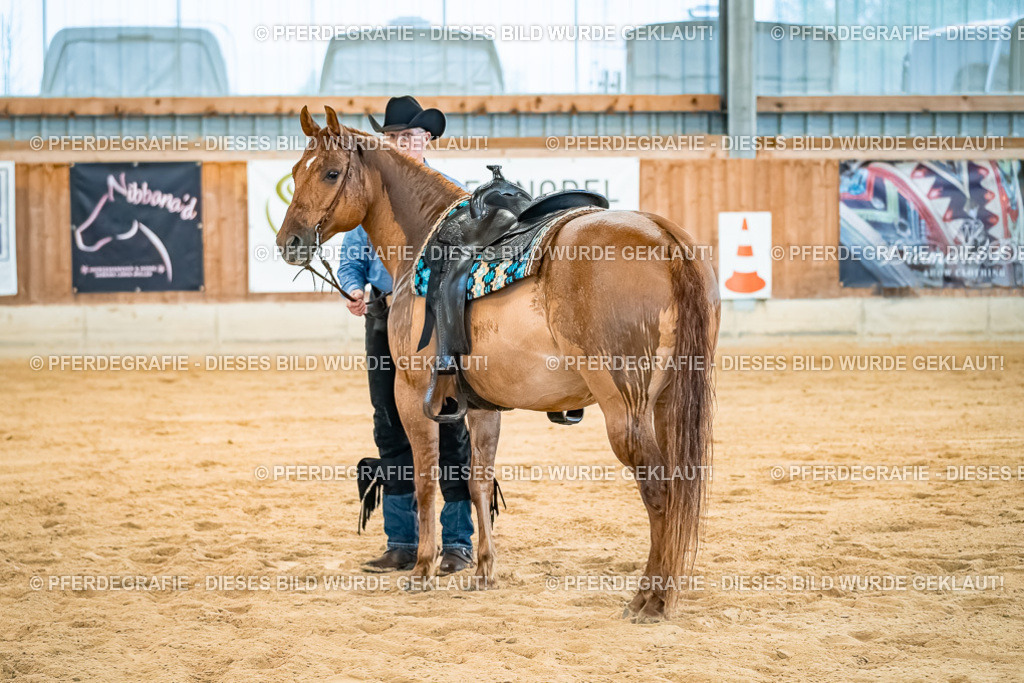 DSC00326 | Pferdegrafie