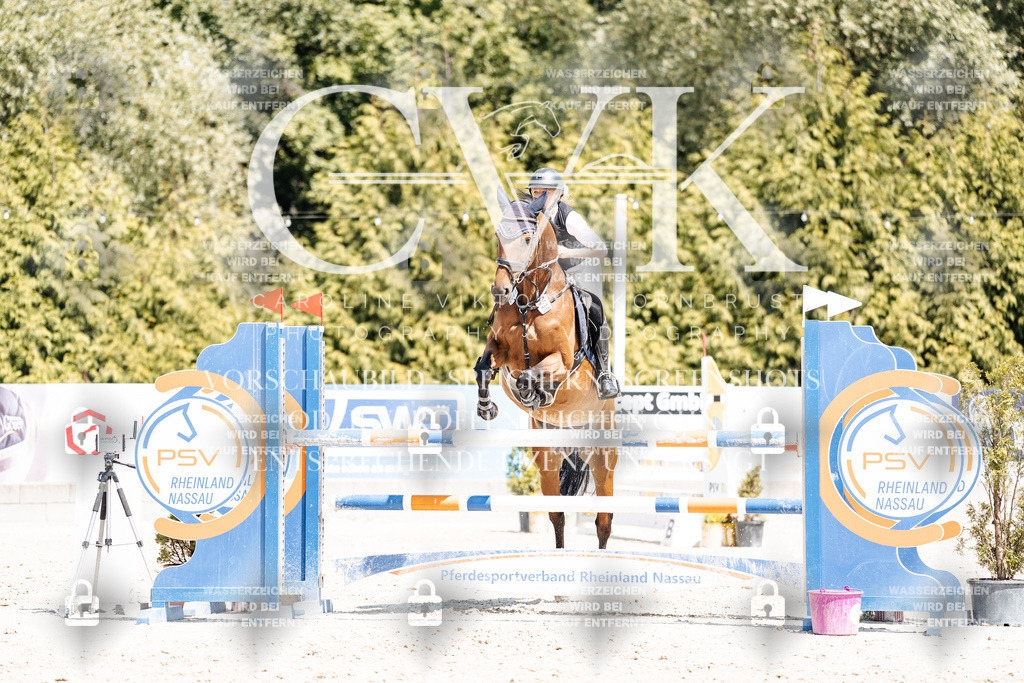 CK900821 | Turnierfotografie Pferdefotografie Trier Rheinland-Pfalz Pferdesport Reitsport Tierfotografie Sportfotografie Pferdevideo Pferdevideografie Equestrianvideography equestrianphotography  - Realisiert mit Pictrs.com