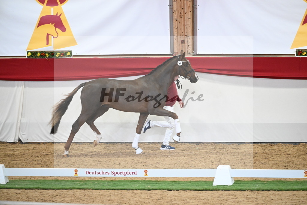 Kat.-Nr. 44 v. Bonds_Berger_2250090 | hf-fotografie - Realisiert mit Pictrs.com