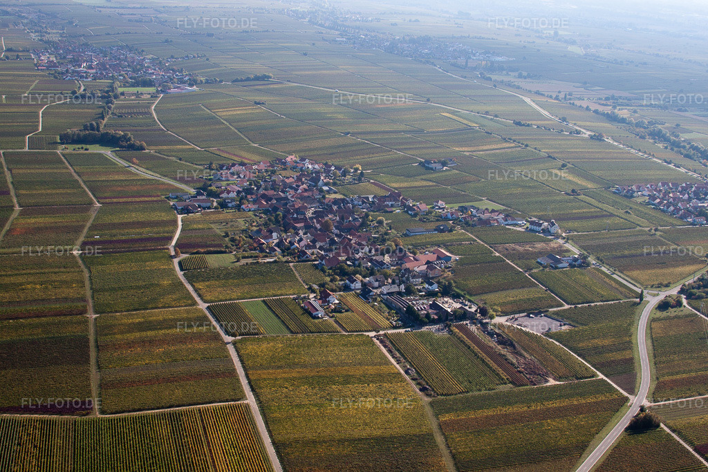 Luftbild: Weinbergen in Flemlingen im Bundesland Rheinland-Pfalz in Deutschland. Foto: IMG_22240.jpg vom 15.10.2009 durch Werner Riehm/FLY-FOTO.de